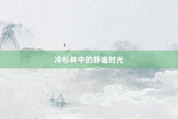 冷杉林中的静谧时光