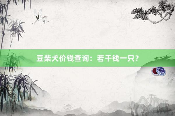 豆柴犬价钱查询：若干钱一只？