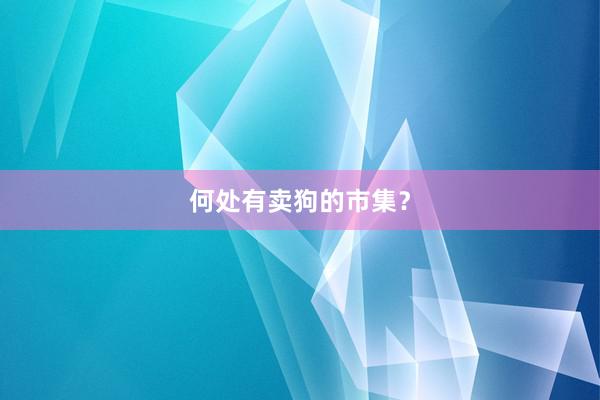 何处有卖狗的市集？
